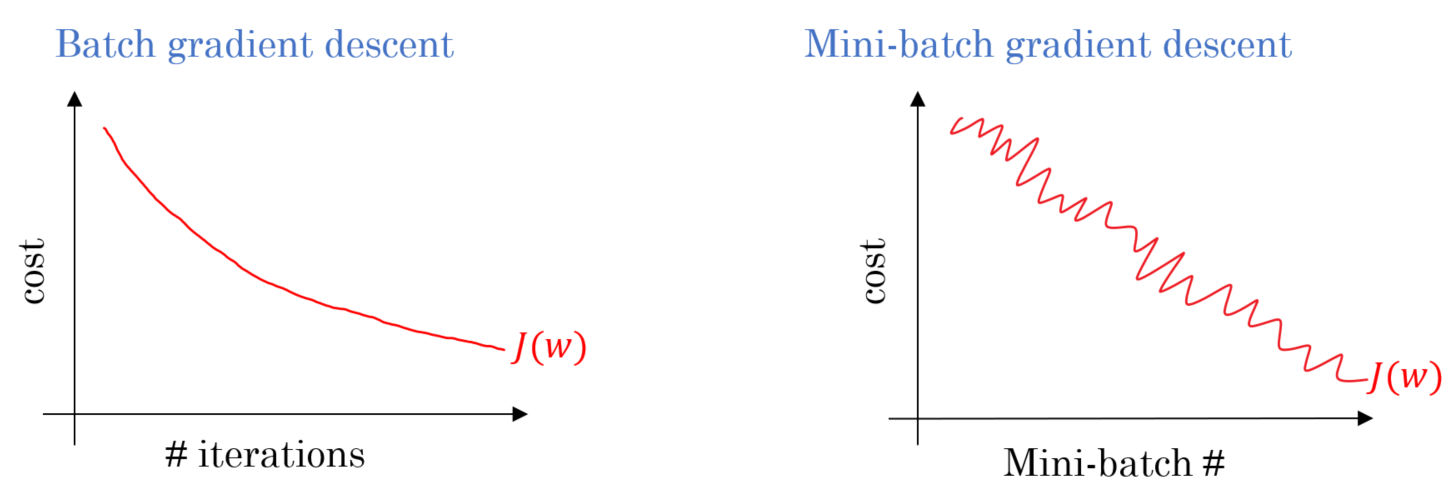 **Figure 4**: Gradient descent: batch versus mini-batch loss function